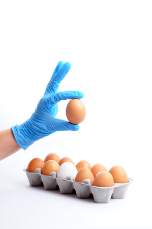eggs reviewの写真素材