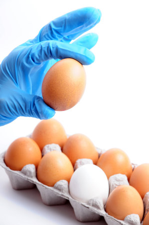 eggs reviewの写真素材