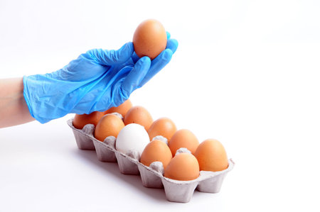 eggs reviewの写真素材