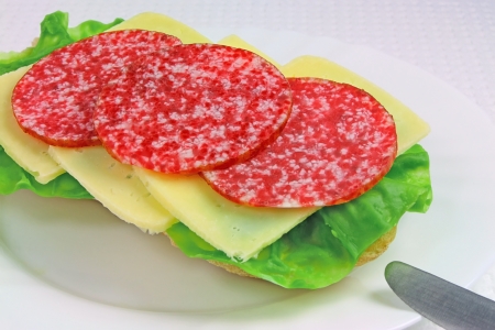 Sandwich with Salami, Cheese and Lettuce on Plate, close upの写真素材
