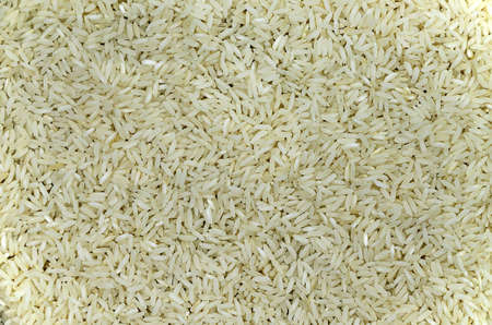 Raw Rice, Close upの写真素材