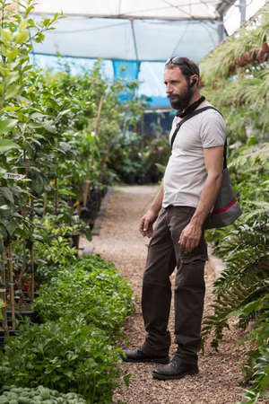 handsome American Caucasian bearded man wearing sunglasses in buying pot at garden center. Russian buyer chooses the plants to buy in flower shop. Happy gardener in a greenhouse choosing a Fruit Treesの写真素材