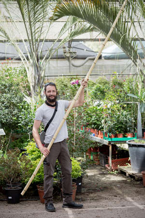 Israeli Man holding a bamboo log in hands. Portrait of American Caucasian bearded man buying bamboo in hypermarket, garden center. Russian buyer chooses decorative fence from bamboo in wood store.の写真素材