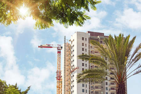 Leaves of a palm tree on a background of high tower crane and residential apartment buildings under construction against blue sky. Real estate development. new haus in framing stageの写真素材