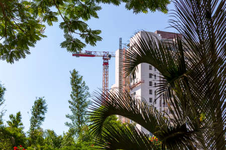 Leaves of a palm tree on a background of high tower crane and residential apartment buildings under...