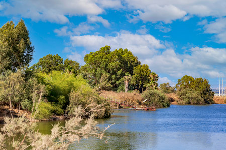 Lake surrounded by colorful deciduous trees during summer under a sky with fluffy clouds. Green forest on the lake shore. Bright summer lakes landscape in day. Tourism, summer concept. selective focusの写真素材