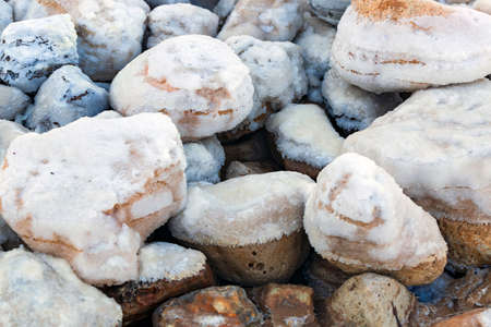 The stones are covered with a crust of salt. Rocks covered with salt on coast of Dead sea in sunset. Salt on the Dead Seashore. Crystals of rock sea salt. Blurred background, of crystallized saltsの写真素材