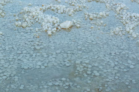 Clear structure of The bottom of the Dead Sea. The stones are covered with a crust of salt on the shores of the Dead-Sea, Ein Bokek beach, Israel. The surface of the salty sea water on the shoreの写真素材