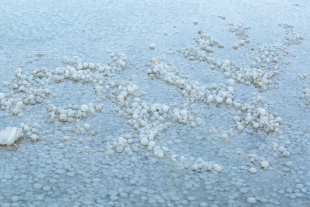 The surface of the salty sea water on the shore Dead-Sea. Clear structure of the bottom of the Dead Sea. The stones are covered with a crust of salt. Salty beach floor taken on the shore of the seaの写真素材