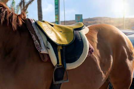 Brown arabian horse with old leather dressage saddle on the street. Equestrian sports. The back of horse, which is worn: saddle, saddlecloth and stirrup, which are illuminated by soft sunlight.の写真素材