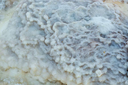 Detail of organic salt white crystals on the Dead Sea shore, Jordan. Natural sea-salt beach background. Salt crystals from Dead-sea. View of Dead Sea coastline. Salty seashore, texture, close up.の写真素材
