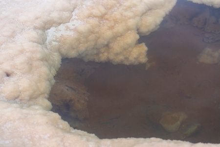 Sea salt in shore background. Dead Sea, Israel. Beautiful landscape of salt crystals and clear water on the beach in Ein Bokek. Salty sea shore. Picture at Dead Sea beach. Salt crystals at sunsetの写真素材