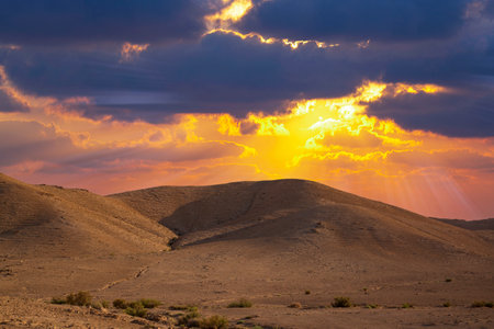 Yellow sunset in the desert and sun rays spreading. Beautiful dramatic clouds on golden sky. Golden sand dunes in desert in Judean desert, Israel. Sunny sky over cliffs, mountains Sodom and Gomorrahの写真素材