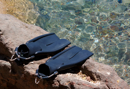 Black flippers splashes near the shore. Diving flipper, swimming equipment. Summer holidays, fun, exploring the sea world concept. Fins for snorkeling lie on a stone near the ocean shore. two flippersの写真素材