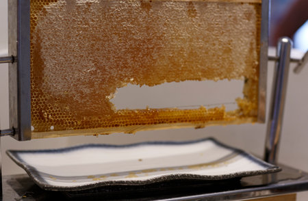Honeycomb wooden frame with fresh honey on a white plate, close up. Natural organic sweet honeycomb board with honey dripping onto dish. selective focus. Honey drips onto the dish. Delicious dessertの写真素材