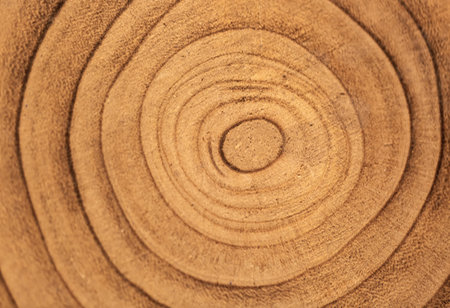 Close up view of concentric circles etched into a wooden surface. The texture and grain of the wood are clearly visible, revealing natural patterns. Tree rings textured Backgrounds sunshine yellow.の写真素材