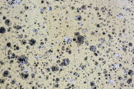 Close up of the yellowish surface, texture background. Clusters of black and gray patches are...