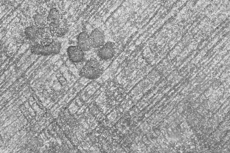 Texture of cement floor and foot printの写真素材