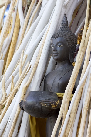 buddha statue in the group of branch wood white and natural colorの写真素材