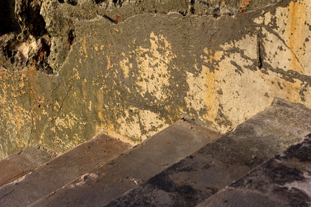 Texture of Lichen on cement by sea water