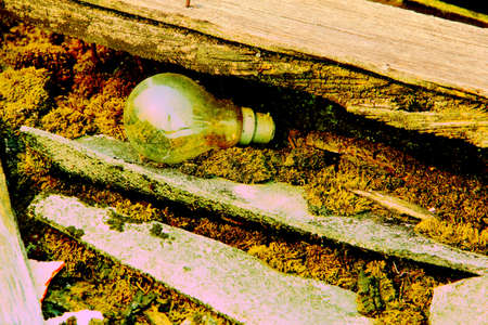 old bulb in wood pile  Scrap and yellow moss color technicの写真素材