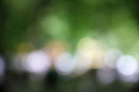 blur background green abstract bokeh light colorの写真素材
