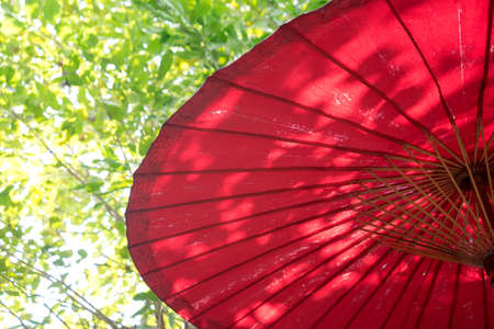 Red Umbrella outdoor and green leaf  bokehの写真素材