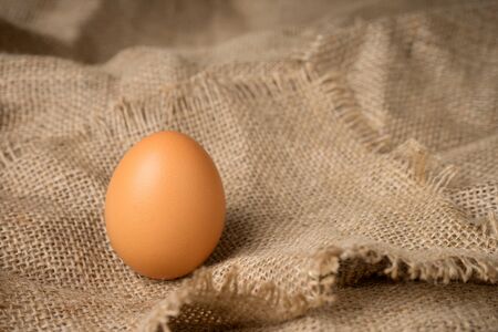 one egg on burlap material background hessian with frayed edgesの写真素材