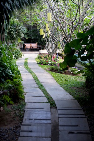 chair resort walk way in green garden bakgroundの写真素材