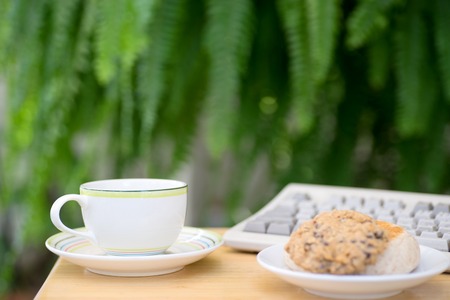 cup of coffee with brad cookie on wood table green fern backgroundの写真素材