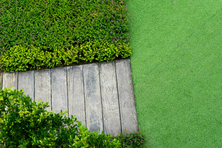 concrete cement background texture floor with green and another color plantの写真素材