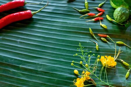 Banana leaf background green colour, red chilli and some herb.の写真素材
