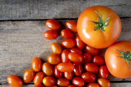 Group of red tomato big and small size, studio shot の写真素材