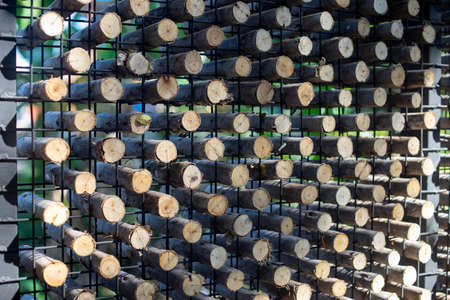 Wooden logs laid on the steel frame for the backdropの写真素材