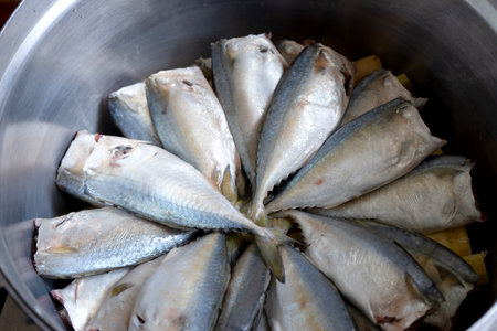 fresh rastrelliger or mackerel fish raw sea food in a big bowl.の写真素材