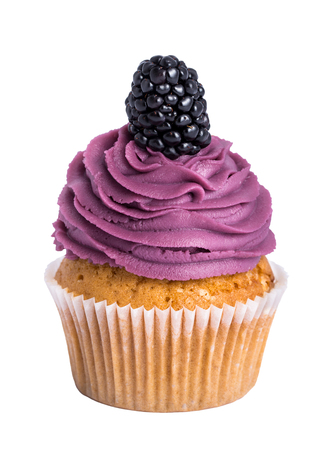 Blackberry cupcake on white backgroundの写真素材