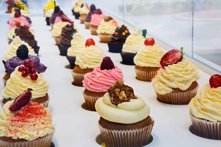 colorful cupcakes with different Tastes. Small beautifull cakes on white Shop-window.の写真素材