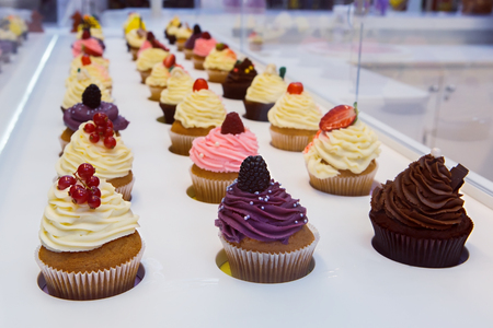 colorful cupcakes with different Tastes. Small beautifull cakes on white Shop-window.の写真素材
