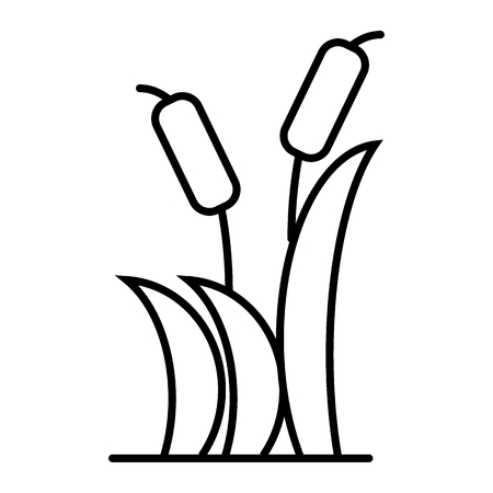 Reeds thin line icon. Cattail vector illustration isolated on white. Cane outline style design, designed for web and app.のイラスト素材