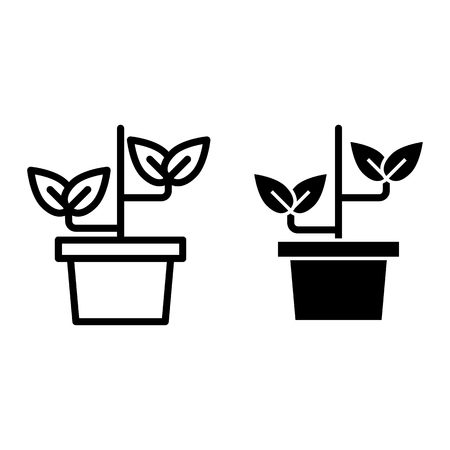 Plant in pot line and glyph icon. Sprout vector illustration isolated on white. Gardening outline style design, designed for web and app. Eps 10のイラスト素材