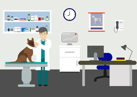 Veterinary office with doctor and pets. Doctor veterinary in clinic with dog. Vector illustration. Veterinarian doctor holds dog on examination table in vet clinicのイラスト素材