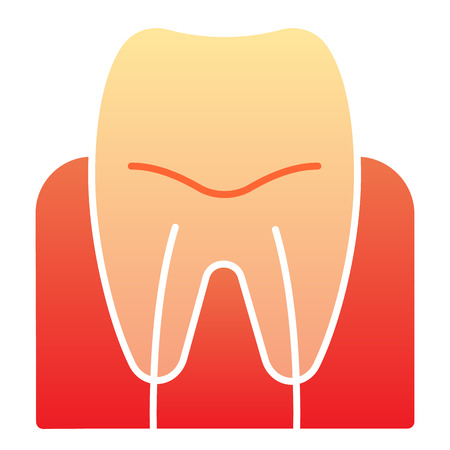 Tooth gum flat icon. Tooth root color icons in trendy flat style. Dental care gradient style design, designed for web and app. Eps 10.のイラスト素材