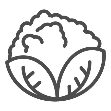 Cabbage line icon. Vegan food vector illustration isolated on white. Vegetable outline style design, designed for web and appのイラスト素材