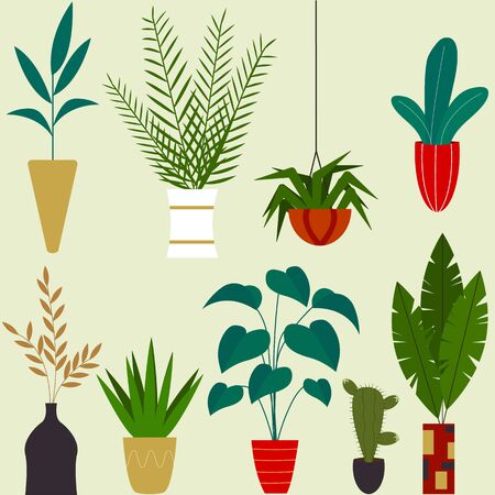 Set of beautiful indoor plants. Flowers in pots. Gardening decoration. Vector illustration in flat cartoon styleのイラスト素材