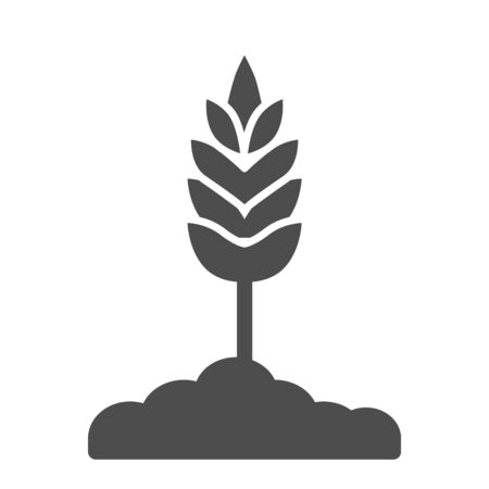 Wheat spikelet solid icon, organic concept, Spica sign on white background, Wheat ear icon in glyph style for mobile concept and web design. Vector graphics.のイラスト素材
