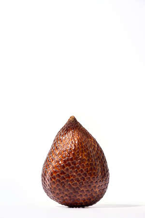 Salak fruit isolated on white background. Salak fruit, Salacca zalacca, snake fruit isolated on the white background.の写真素材