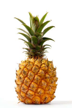 Baby pineapple isolated on white background. Exotic fruit on white.の写真素材