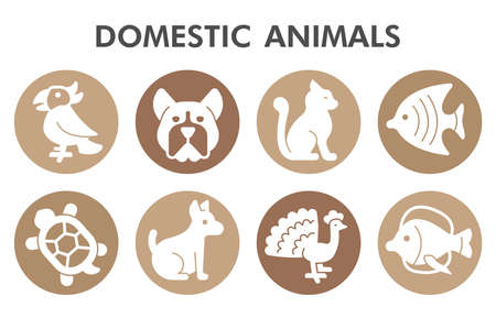 Modern domestic animals Infographic design template with icons. Farm animals Infographic visualization in bubble design on white background. Creative vector illustration for infographic.のイラスト素材