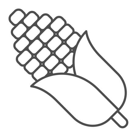 Corn cob thin line icon, food harvest concept, sweet sugar corn vector sign on white background, outline style icon for mobile concept and web design. Vector graphics.のイラスト素材