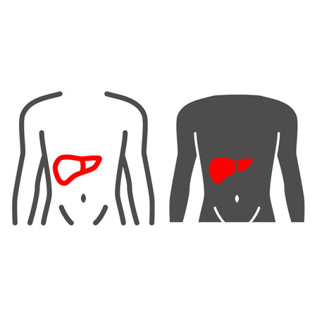 Pain in liver line and solid icon, body pain concept, liver disease vector sign on white background, outline style icon for mobile concept and web design. Vector graphics.のイラスト素材